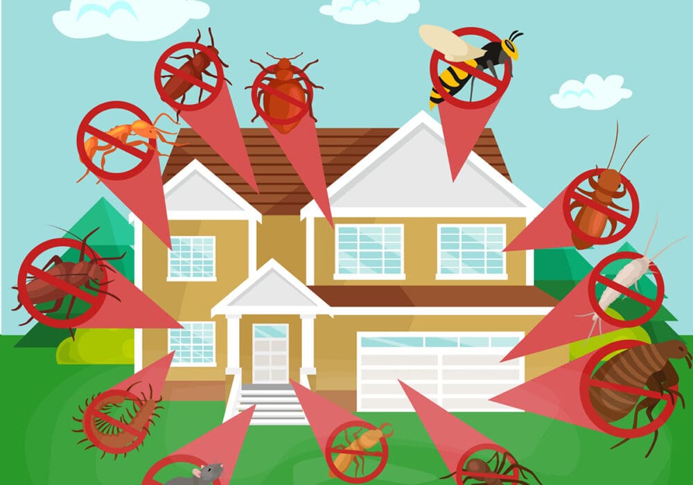Berner Pest Solutions provides home pest control and termite control in Nicholasville, KY