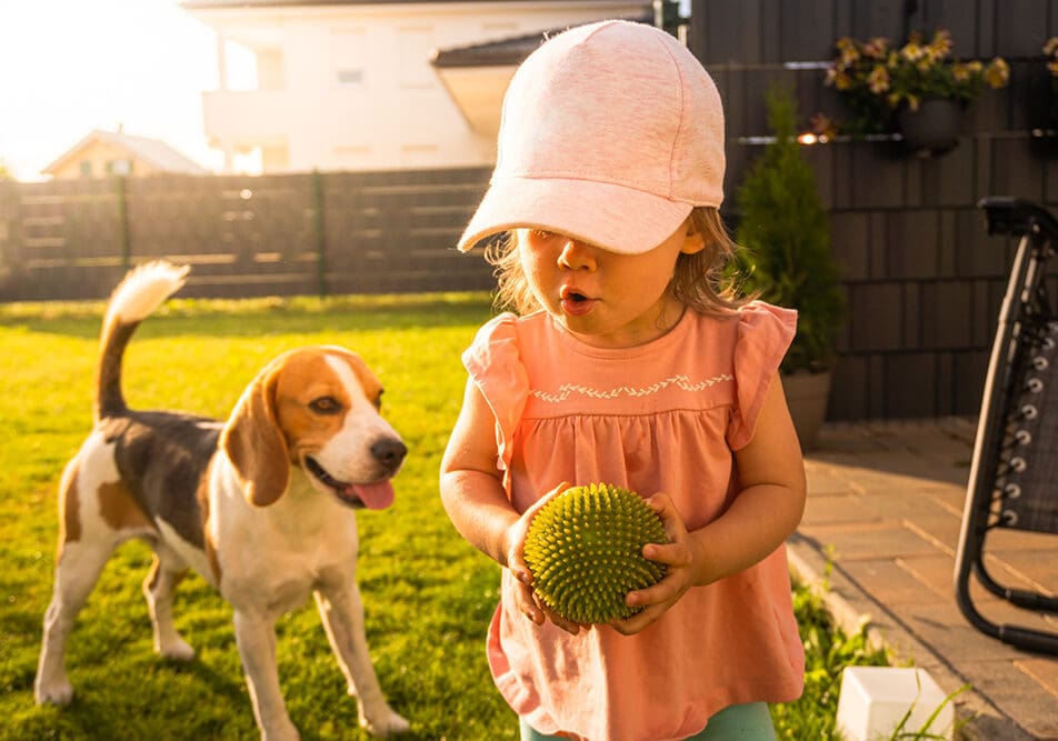 Berner provides pet friendly pest control in Nicholasville KY
