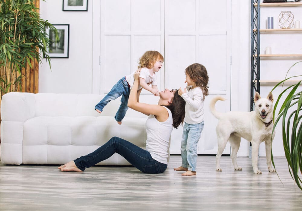 Berner Pest Solutions provides control of fleas and ticks to keep your pets free of pests