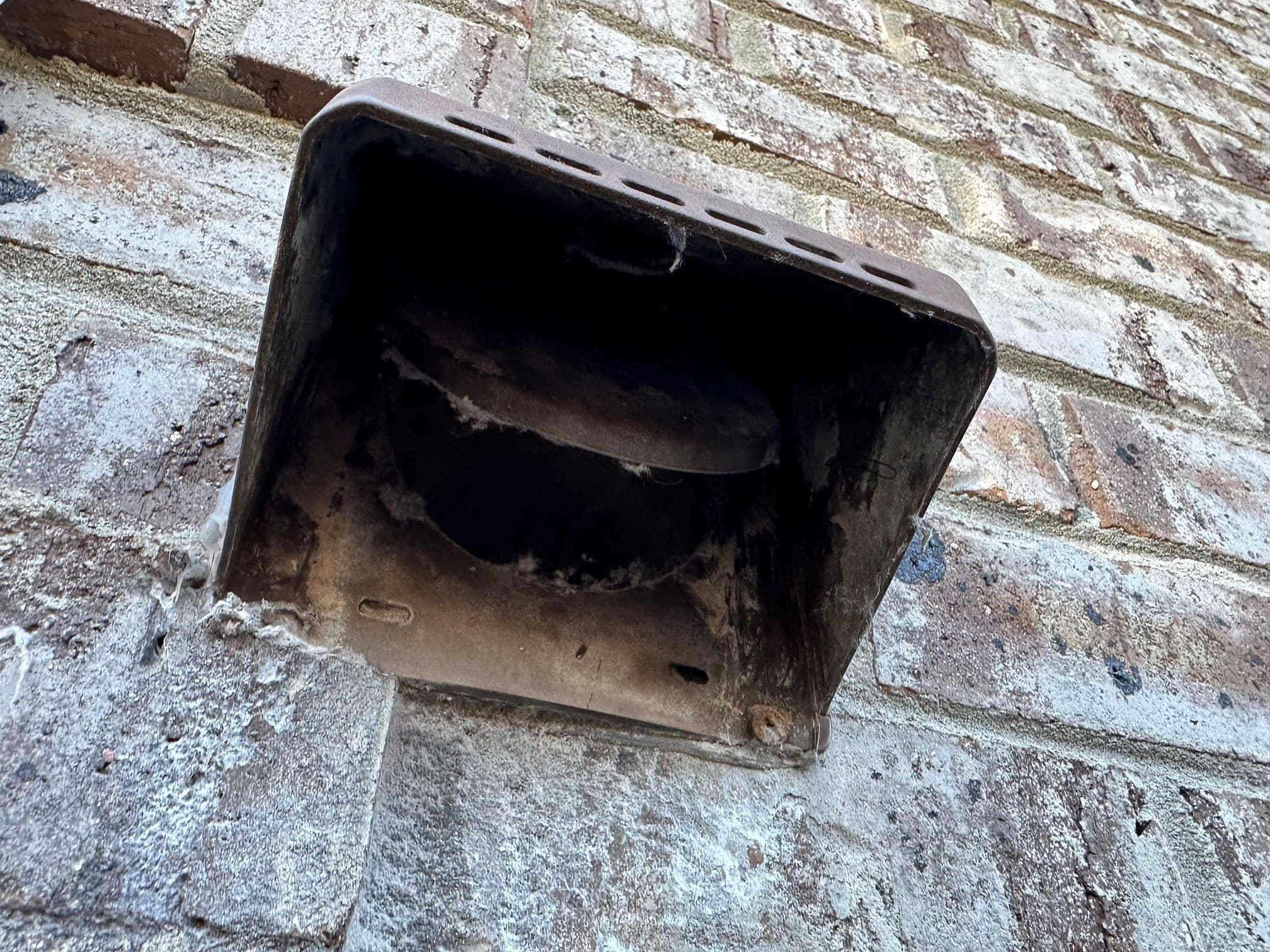 Vinyl dryer vent covers are susceptible to mice because lint build-up will prevent the lid from closing, allowing rodent entry.