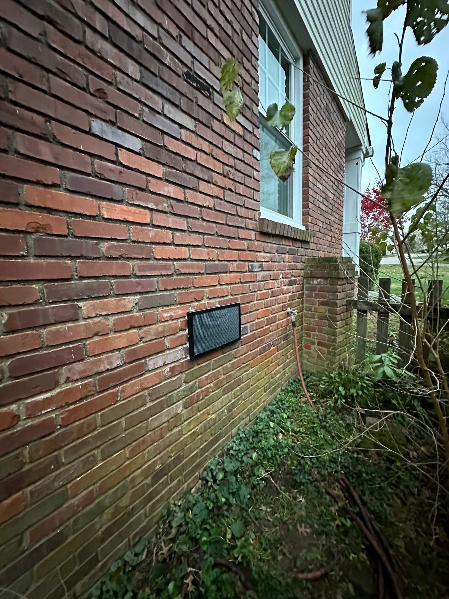 After mouse pest control exclusion work was performed