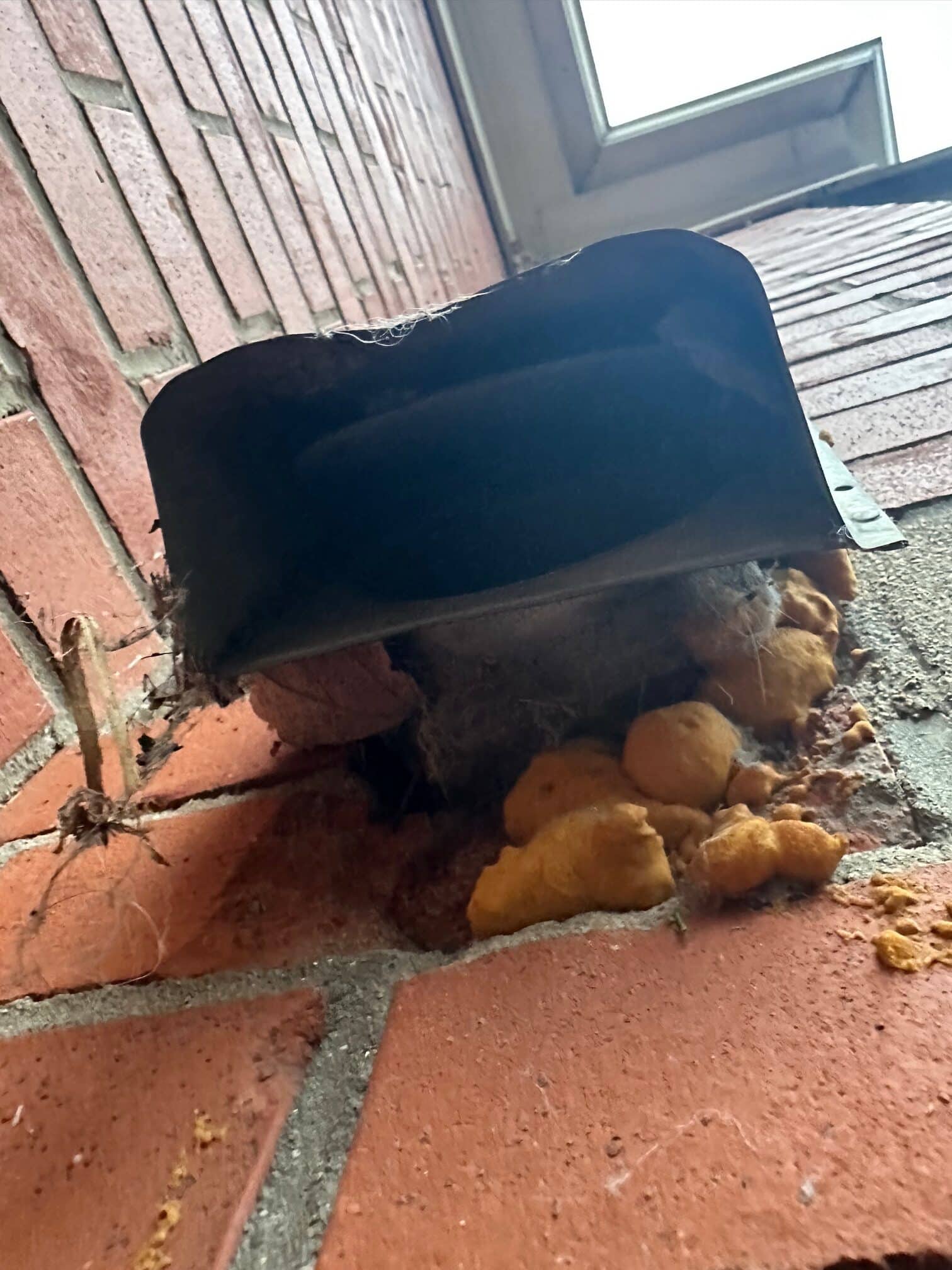 Exterior dryer vent covers are a very common entry point for mice to gain access into homes of all foundation types.